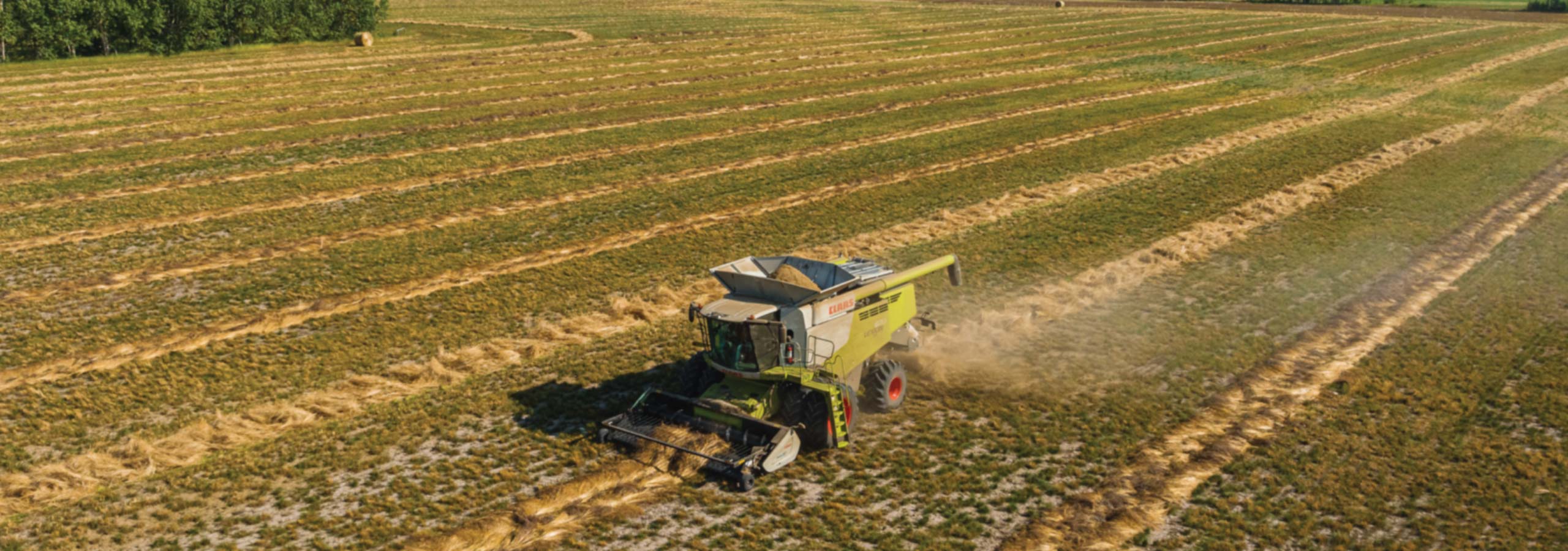 FAQ Foster's Seed & Feed