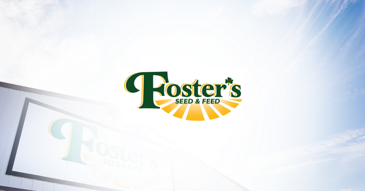 Fleet Meadow Brome Certified 1, 25Kg Foster's Seed & Feed