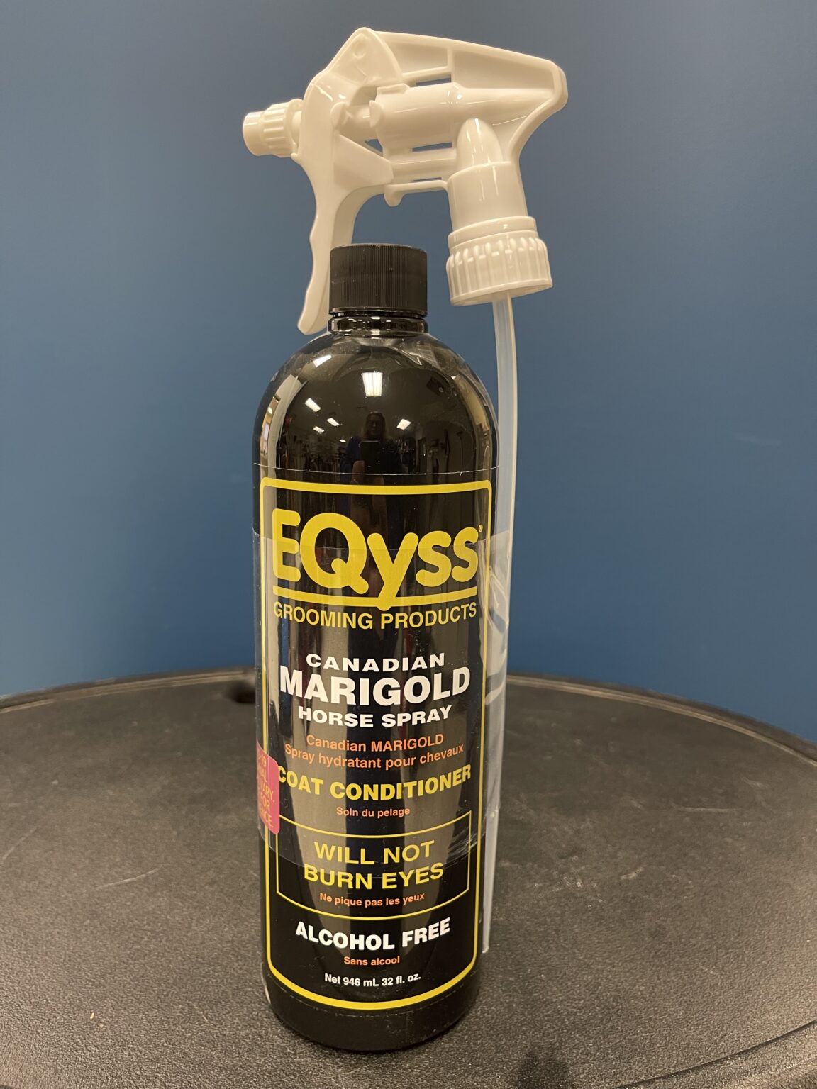 Canadian Marigold Horse Spray Foster's Seed & Feed