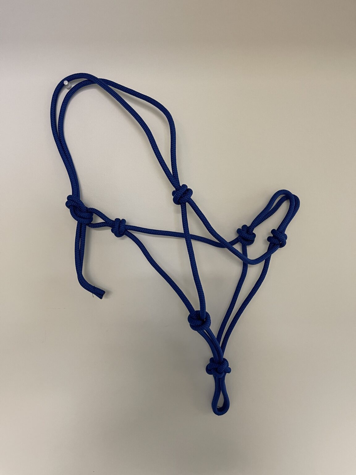 Horse Halter Rope Foster's Seed & Feed
